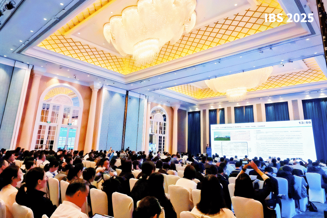 向"新"而行 向"绿"而进 | IBS 2025 第十三届中国国际生物质能源与有机固废资源化利用高峰论坛