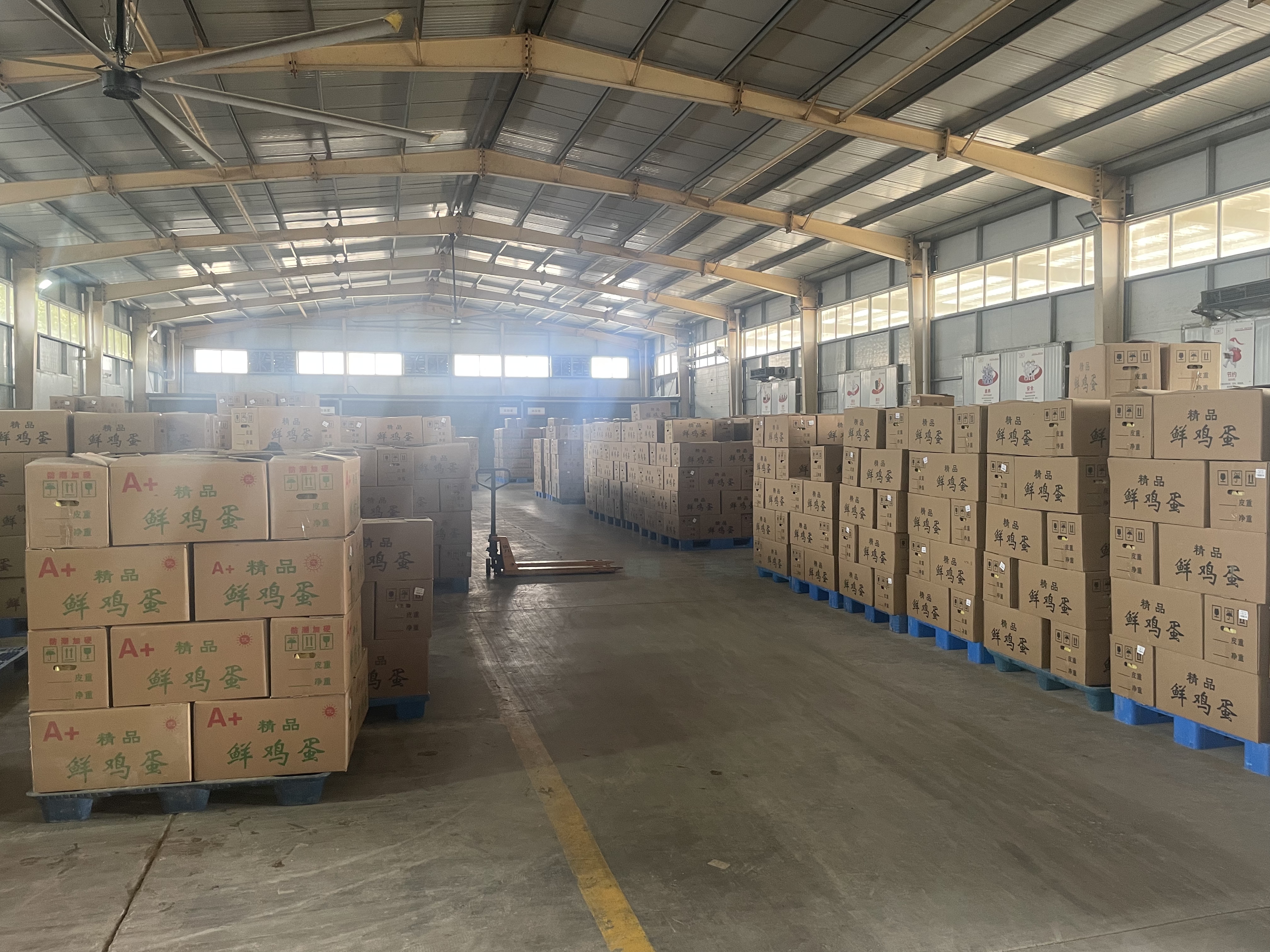 罗克羲农生物携手河北馆陶 共建鸡粪资源化利用全国示范项目